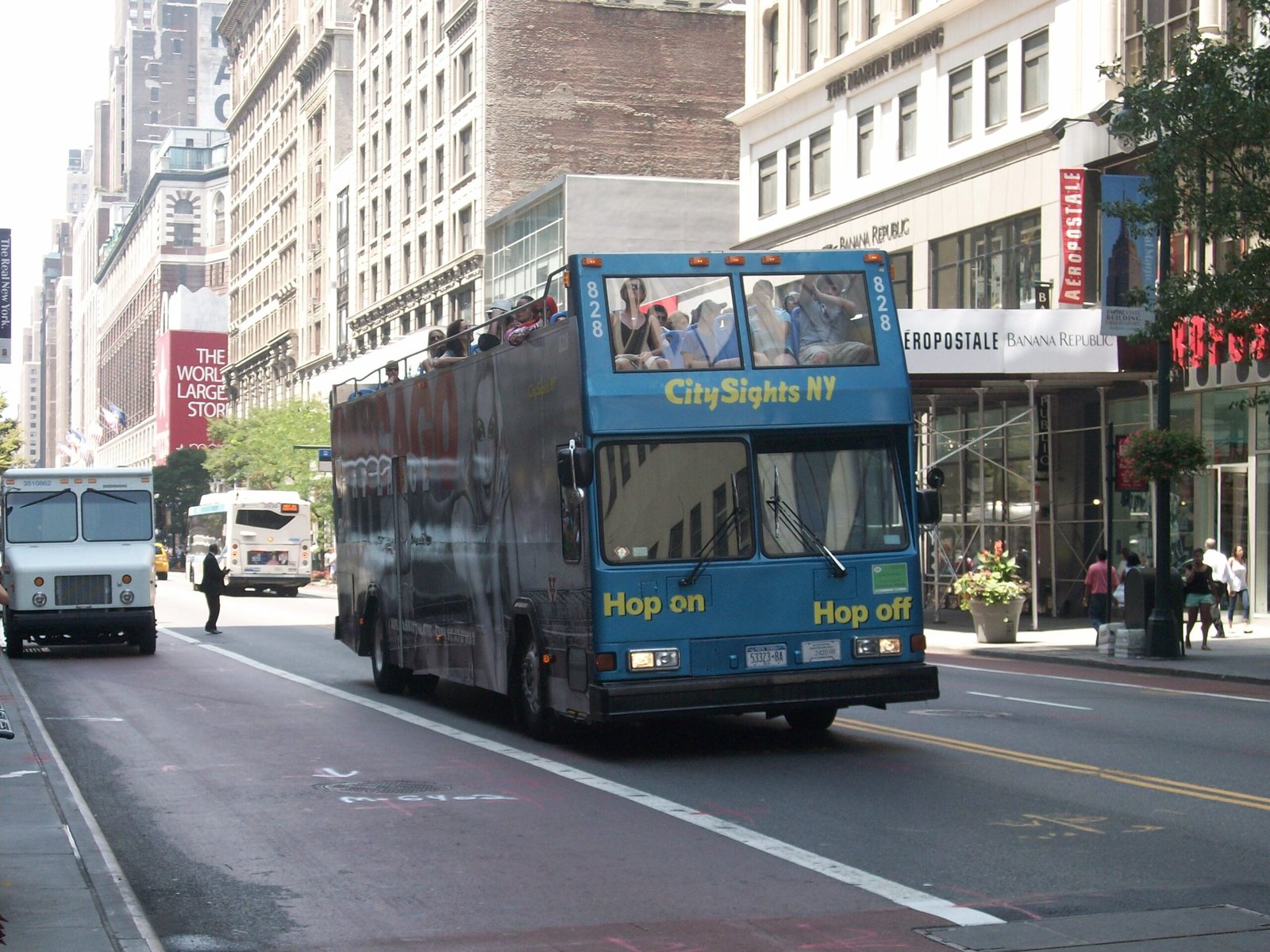 New Zealand Backpacker Buses