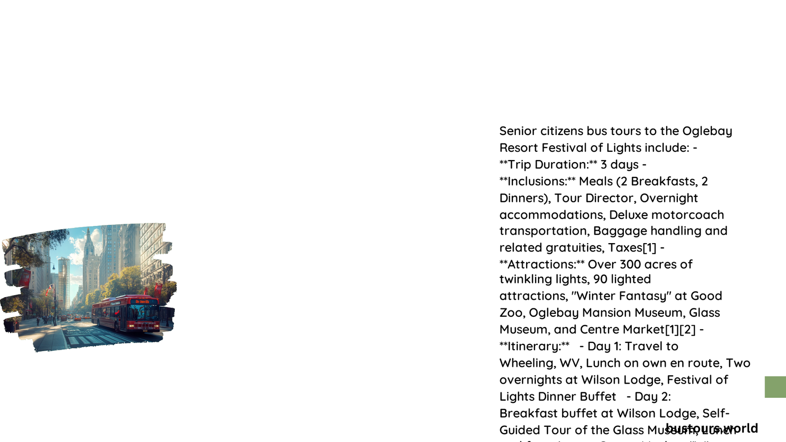 senior citizens bus tours to festival of lights